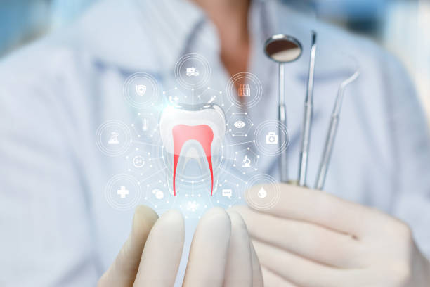 Dental X-Rays and Imaging in Clyde Hill, WA